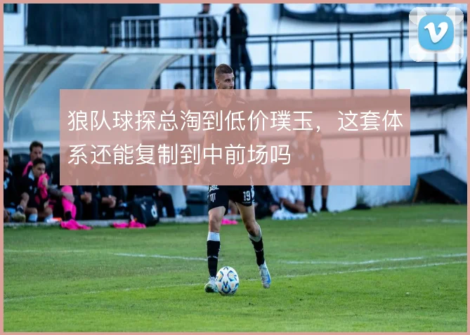 狼队球探总淘到低价璞玉，这套体系还能复制到中前场吗