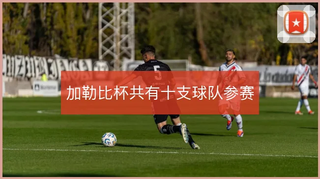 加勒比杯共有十支球队参赛