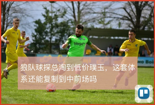 狼队球探总淘到低价璞玉，这套体系还能复制到中前场吗
