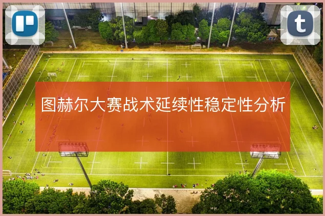 图赫尔大赛战术延续性稳定性分析