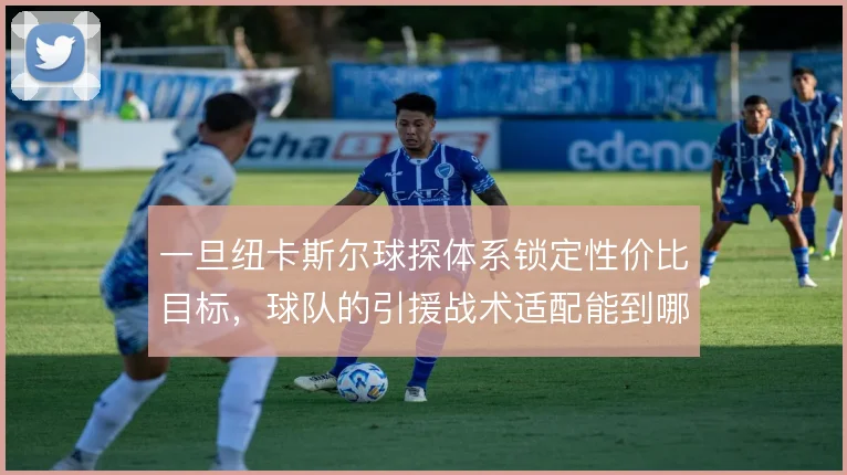 一旦纽卡斯尔球探体系锁定性价比目标，球队的引援战术适配能到哪一步